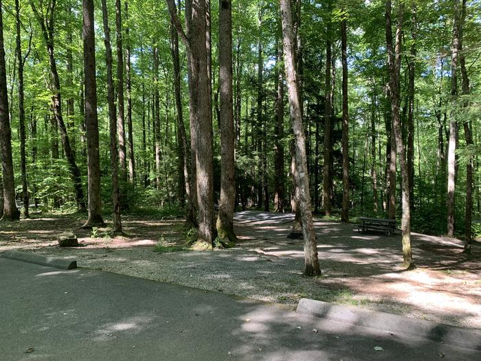 A photo of Site B55 of Loop B-Loop at COSBY CAMPGROUND with Picnic Table, Fire Pit, Tent Pad