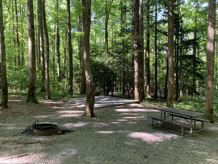 A photo of Site B55 of Loop B-Loop at COSBY CAMPGROUND with Picnic Table, Fire Pit, Tent Pad