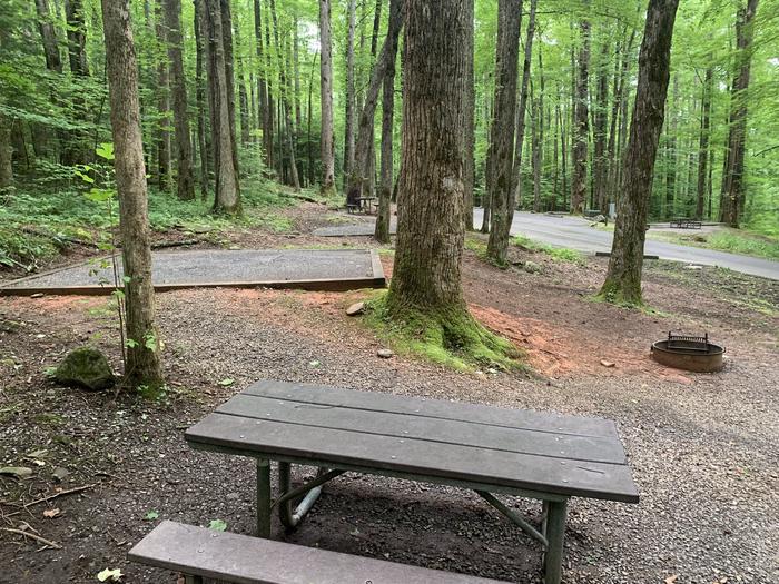 A photo of Site B47 of Loop B-Loop at COSBY CAMPGROUND with Picnic Table, Fire Pit, Tent Pad
