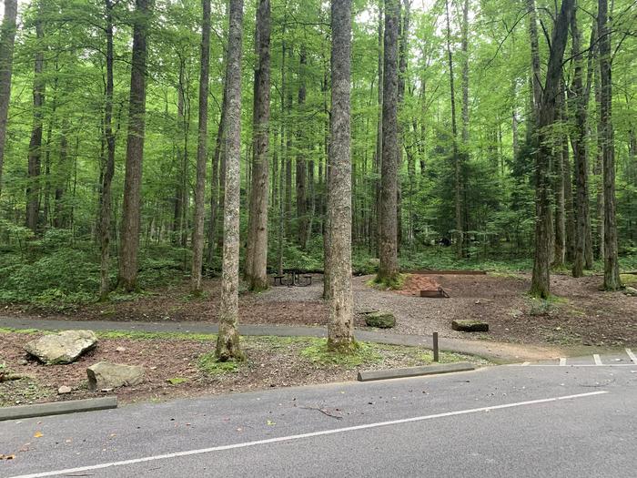 A photo of Site B47 of Loop B-Loop at COSBY CAMPGROUND with Picnic Table, Fire Pit, Tent Pad