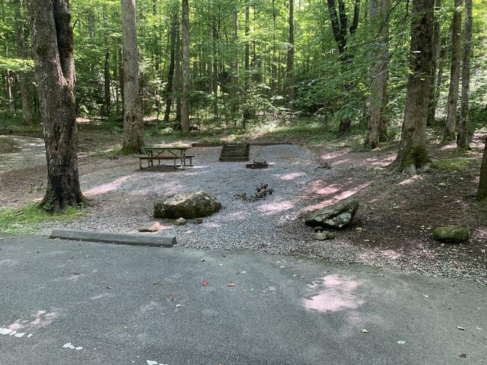 A photo of Site B58 of Loop B-Loop at COSBY CAMPGROUND with Picnic Table, Fire Pit, Tent Pad