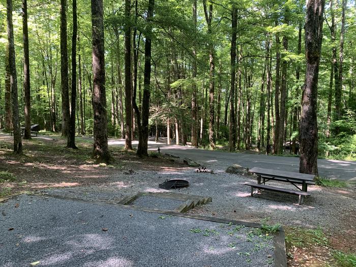 A photo of Site B58 of Loop B-Loop at COSBY CAMPGROUND with Picnic Table, Fire Pit, Tent Pad