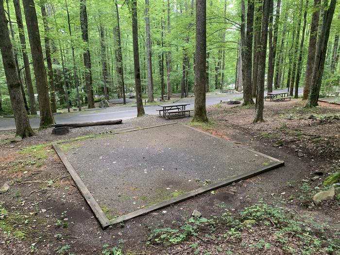 A photo of Site B07 of Loop B-Loop at COSBY CAMPGROUND with Picnic Table, Fire Pit, Tent Pad