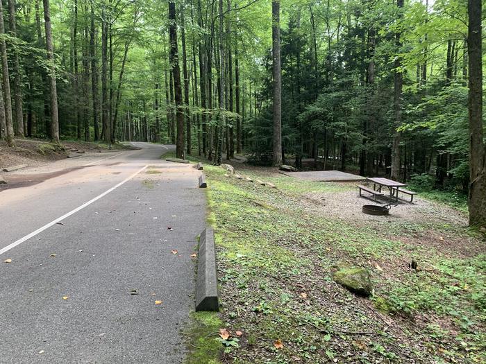 A photo of Site B28 of Loop B-Loop at COSBY CAMPGROUND with Picnic Table, Fire Pit, Tent Pad