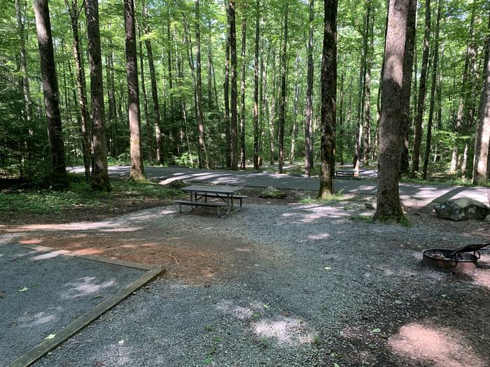 A photo of Site B51 of Loop B-Loop at COSBY CAMPGROUND with Picnic Table, Fire Pit, Tent Pad
