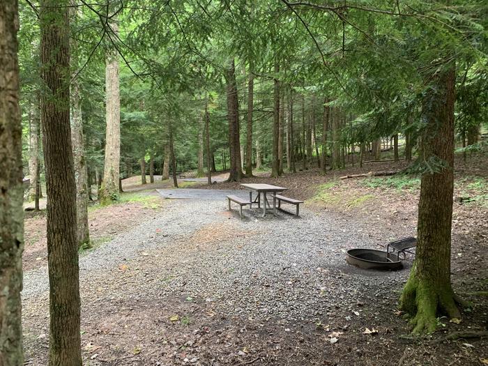 A photo of Site B16 of Loop B-Loop at COSBY CAMPGROUND with Picnic Table, Fire Pit, Tent Pad