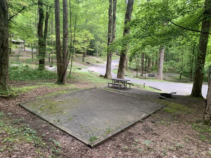 A photo of Site A44 of Loop A-Loop at COSBY CAMPGROUND with Picnic Table, Fire Pit, Tent Pad