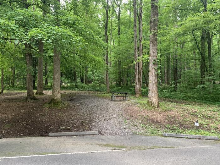 A photo of Site A44 of Loop A-Loop at COSBY CAMPGROUND with Picnic Table, Fire Pit, Tent Pad