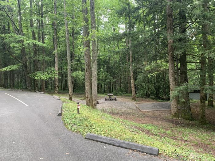 A photo of Site B21 of Loop B-Loop at COSBY CAMPGROUND with Picnic Table, Fire Pit, Tent Pad