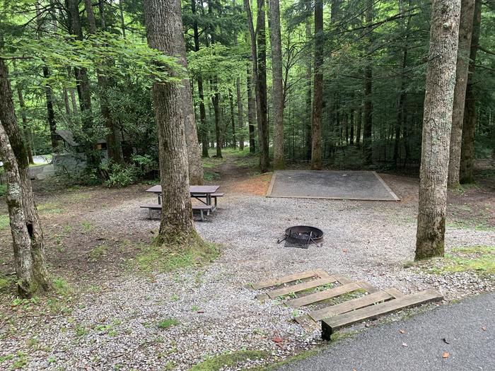 A photo of Site B21 of Loop B-Loop at COSBY CAMPGROUND with Picnic Table, Fire Pit, Tent Pad