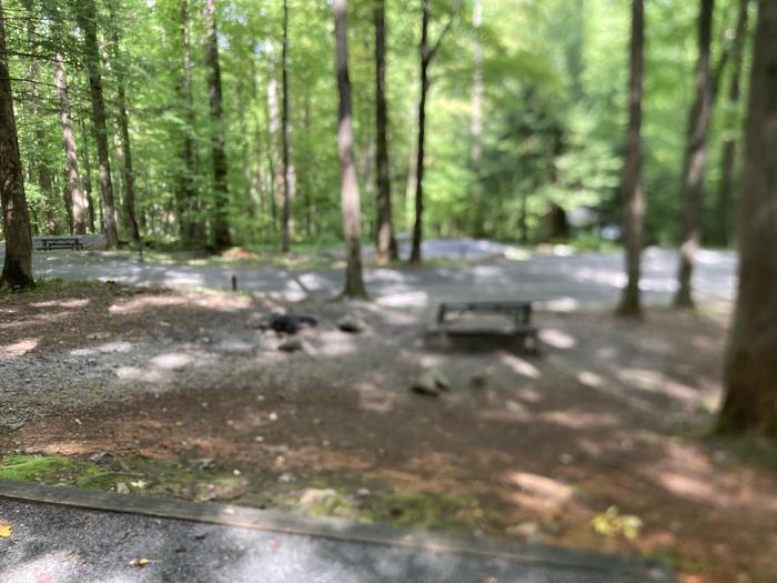 A photo of Site B83 of Loop B-Loop at COSBY CAMPGROUND with Picnic Table, Fire Pit, Tent Pad
