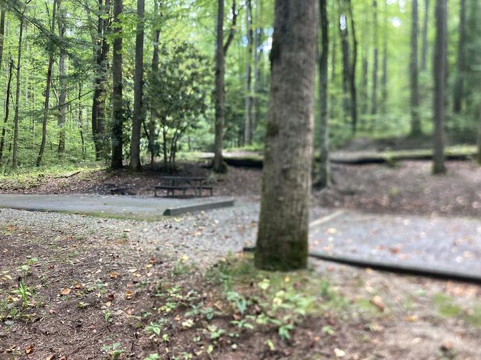 A photo of Site B93 of Loop B-Loop at COSBY CAMPGROUND with Picnic Table, Fire Pit, Tent Pad