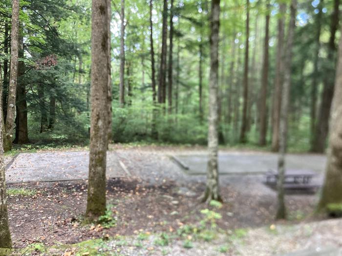 A photo of Site B93 of Loop B-Loop at COSBY CAMPGROUND with Picnic Table, Fire Pit, Tent Pad