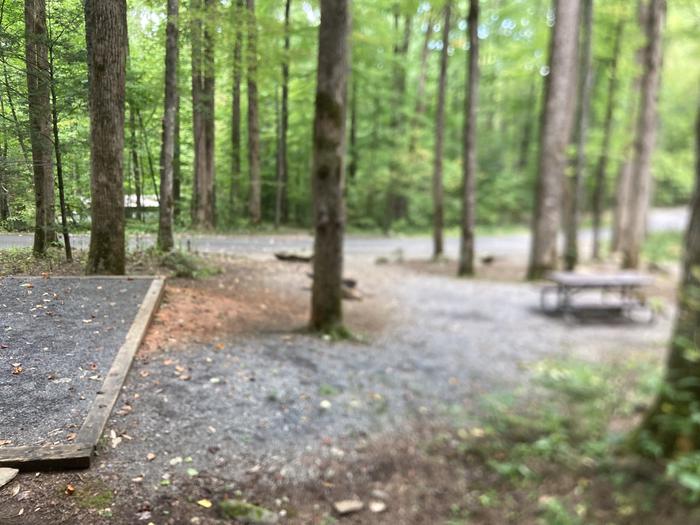 A photo of Site B86 of Loop B-Loop at COSBY CAMPGROUND with Picnic Table, Fire Pit, Tent Pad