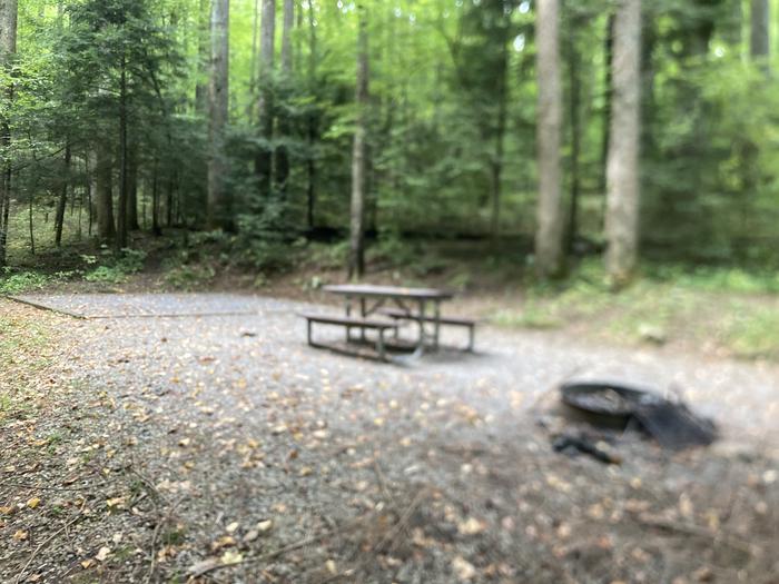 A photo of Site B92 of Loop B-Loop at COSBY CAMPGROUND with Picnic Table, Fire Pit, Tent Pad