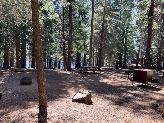 A photo of Site 119 of Loop AREA SUNSET-UNION VALLEY at SUNSET-UNION VALLEY with Picnic Table, Fire Pit, Shade, Food Storage, Tent Pad, Waterfront