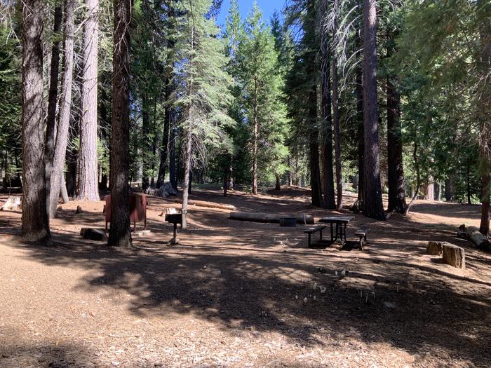 A photo of Site 119 of Loop AREA SUNSET-UNION VALLEY at SUNSET-UNION VALLEY with Picnic Table, Fire Pit, Shade, Food Storage, Tent Pad