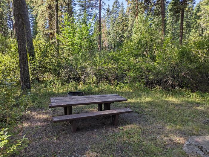 Site 2 in Cabin Creek Campground