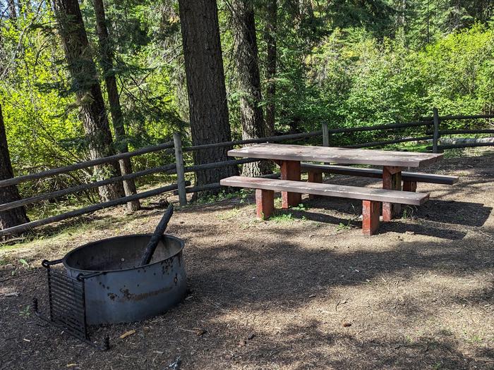Site 8 in Cabin Creek Campground