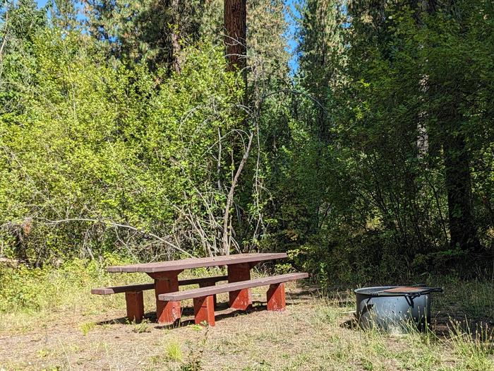 Site 11 in Cabin Creek Campground