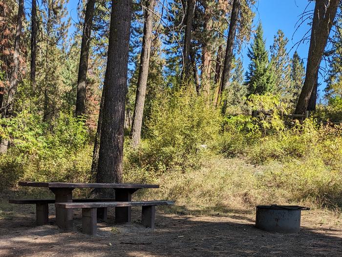 Crisp blue skies over the forest campsite with a picnic table and fire ring.Cabin Creek Campground
