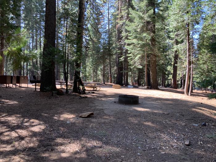 A photo of Site 113 of Loop AREA SUNSET-UNION VALLEY at SUNSET-UNION VALLEY with Picnic Table, Fire Pit, Shade, Food Storage, Tent Pad