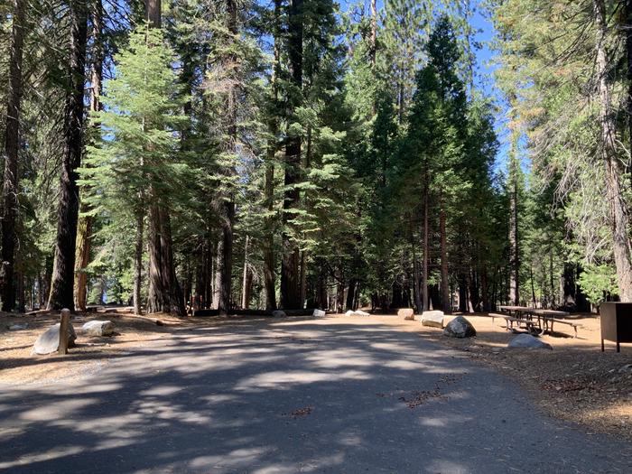 A photo of Site 113 of Loop AREA SUNSET-UNION VALLEY at SUNSET-UNION VALLEY with Picnic Table, Fire Pit, Shade, Food Storage, Tent Pad