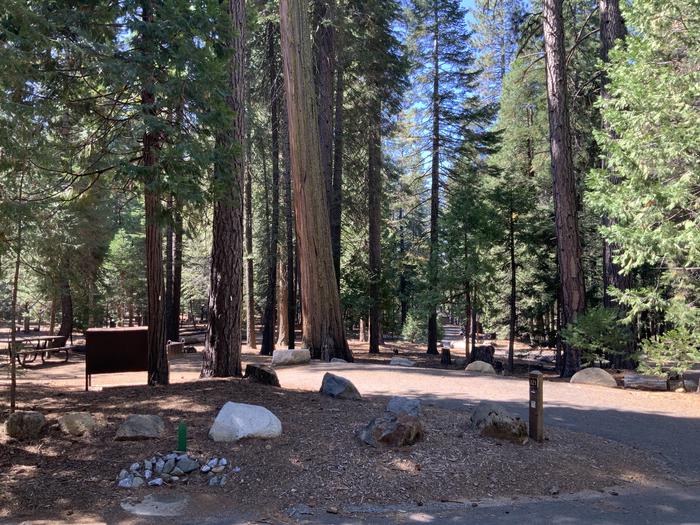 A photo of Site 121 of Loop AREA SUNSET-UNION VALLEY at SUNSET-UNION VALLEY with Picnic Table, Fire Pit, Shade, Food Storage, Tent Pad