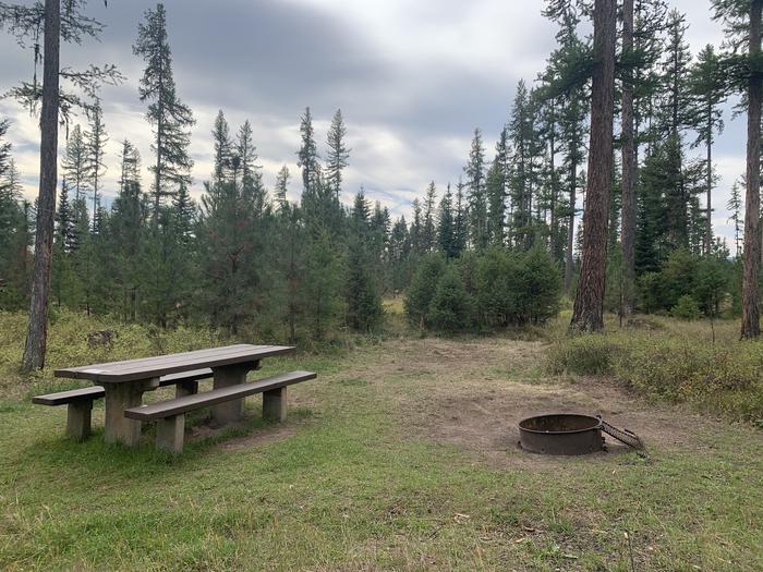 A photo of Site BLS15 of Loop 2 at Big Larch Campground with picnic table, campfire ring. 