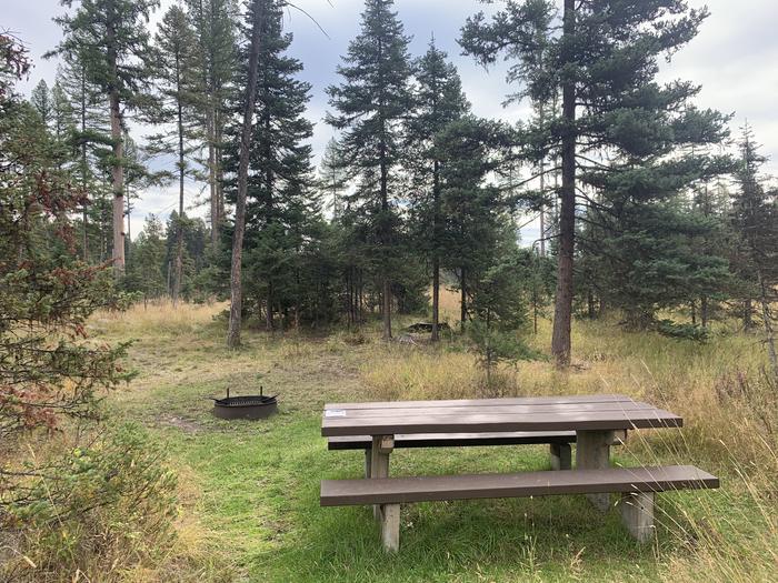 A photo of Site BLS18 in Loop 2 at Big Larch Campground with picnic table, campfire ring. 