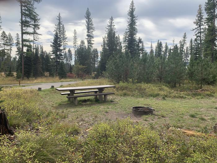 A photo of Site BLS17 in Loop 2 at Big Larch Campground with picnic table, campfire ring. A photo of Site BLS17 of Loop 2 at Big Larch Campground with picnic table, campfire ring. 