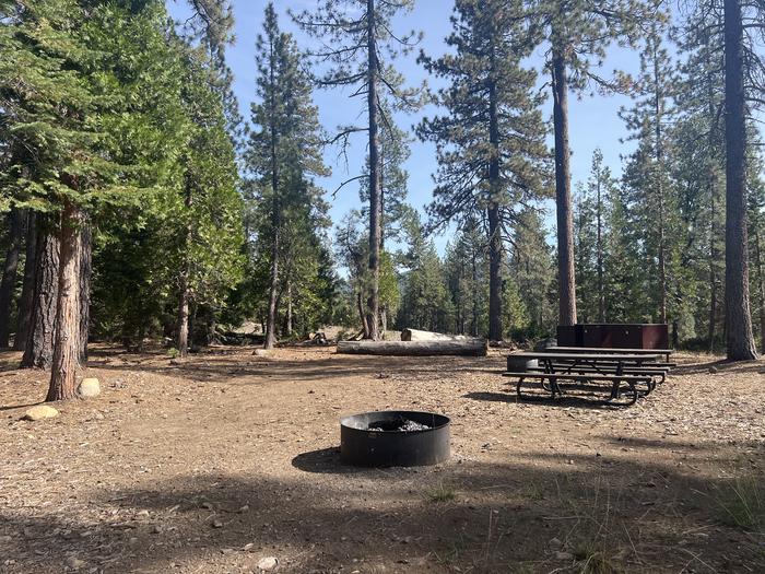 A photo of Site 14 of Loop West at West Point Campground