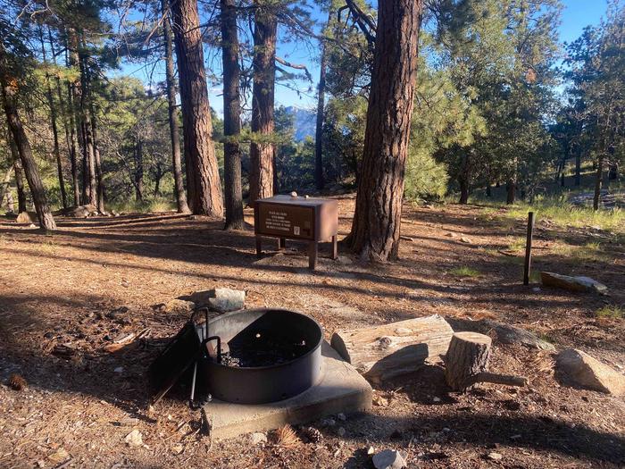 Fire ring, bear box, and tent pad at site 2Site 2