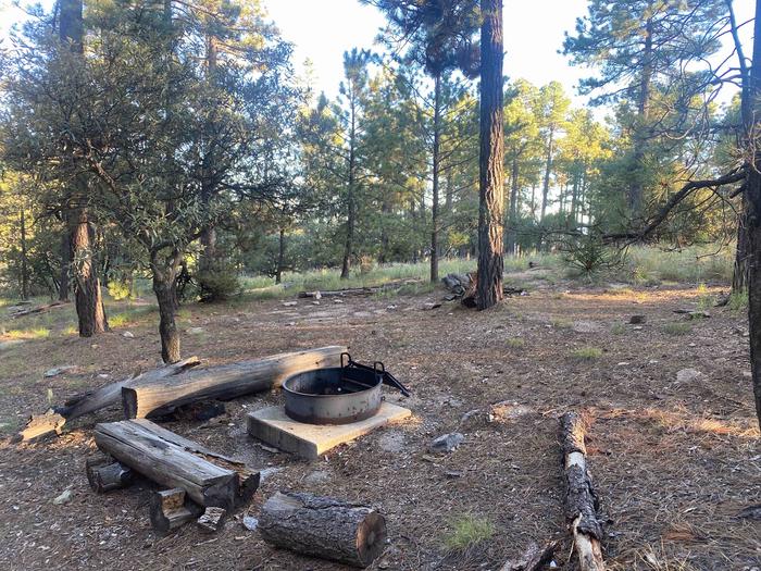 Fire ring and log benches, and tent pads at site 5Site 5