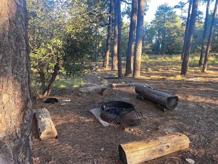 Fire ring and log benches at site 6Site 6