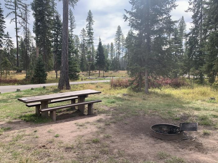 A photo of Site BLS21 in Loop 2 at Big Larch Campground with picnic table, campfire ring. 
