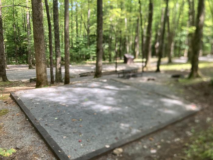 A photo of Site B53 of Loop B-Loop at COSBY CAMPGROUND with Picnic Table, Fire Pit, Tent Pad