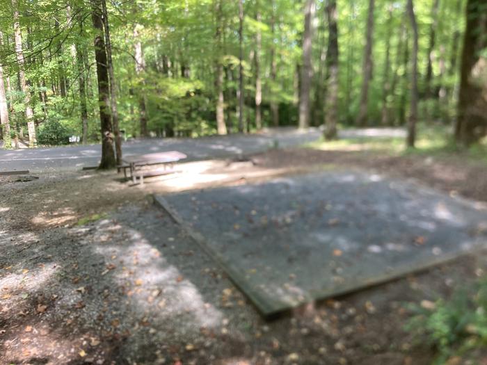 A photo of Site B60 of Loop B-Loop at COSBY CAMPGROUND with Picnic Table, Fire Pit, Tent Pad
