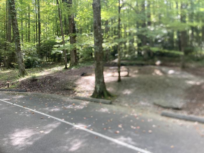 A photo of Site B60 of Loop B-Loop at COSBY CAMPGROUND with Picnic Table, Fire Pit, Tent Pad