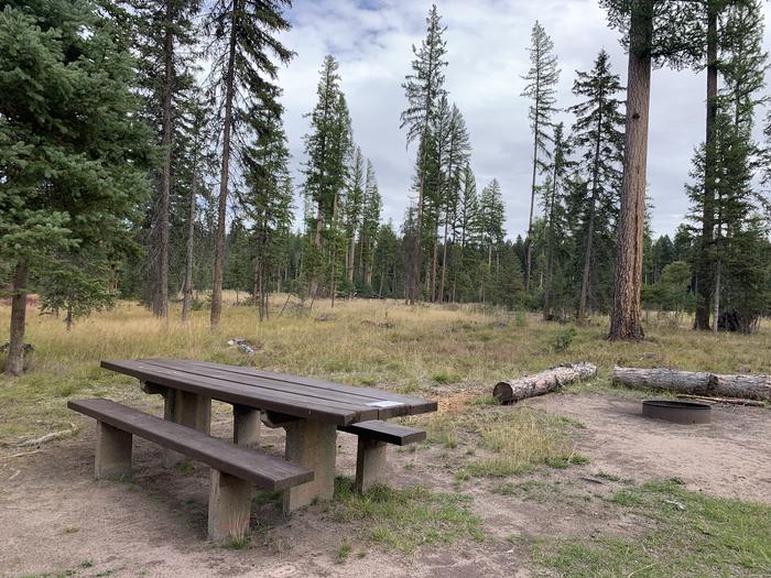 A photo of Site BLS22 in Loop 2 at BIG LARCH CAMPGROUND with Picnic Table, Fire Pit.