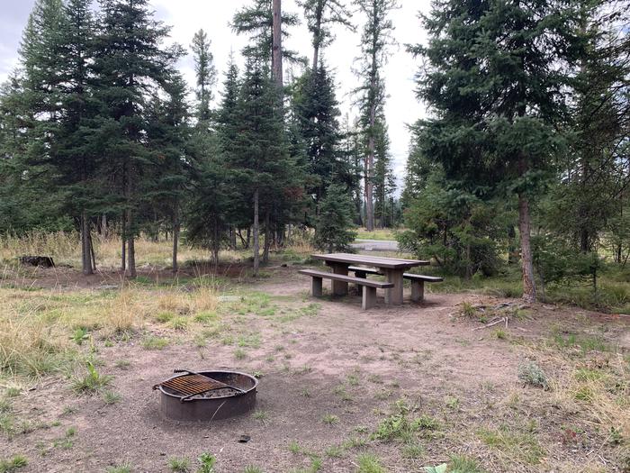A photo of Site BLS24 in Loop 2 at Big Larch Campground with picnic table, campfire ring. 