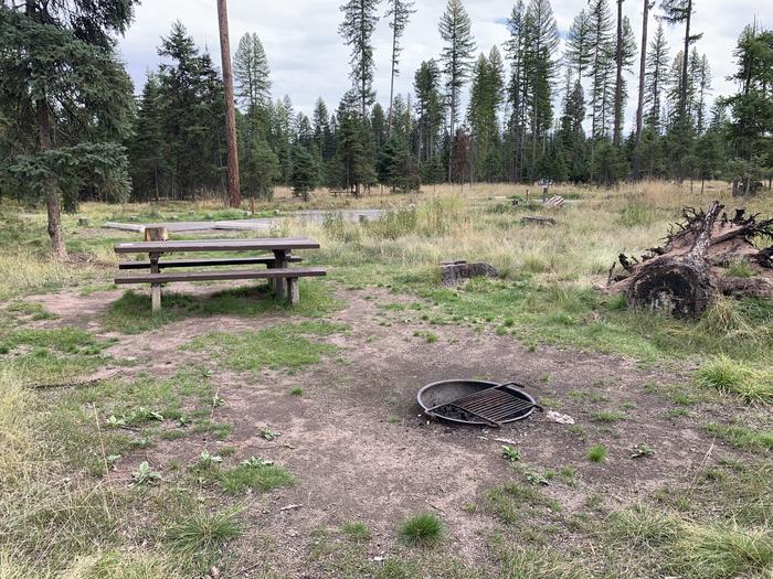 A photo of Site BLS25 in Loop 2 at Big Larch Campground with a picnic table, campfire ring. 