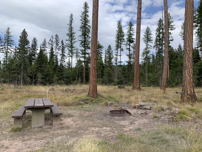 A photo of Site BLS35 in Loop 3 at Big Larch Campground with picnic table, campfire ring.A photo of Site BLS35 in Loop 3 at Big Larch Campground with picnic table, campfire ring. 