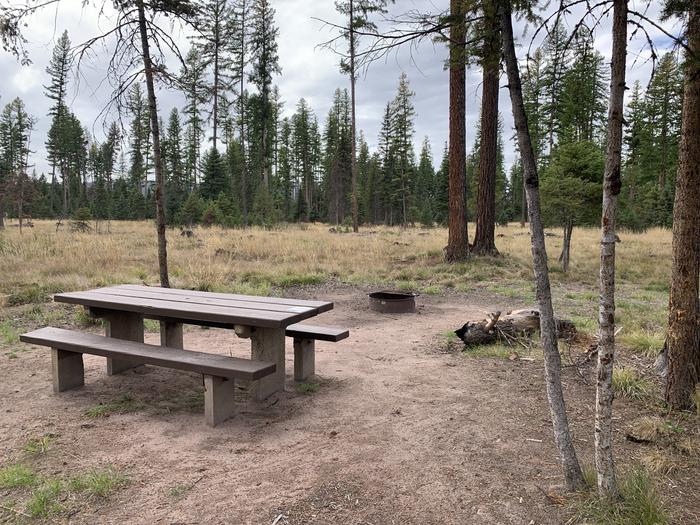 A photo of Site BLS38 in Loop 3 at Big Larch Campground with picnic table, campfire ring. 