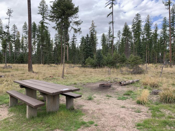 A photo of Site BLS41 in Loop 3 at Big Larch Campground with picnic table, campfire ring. 