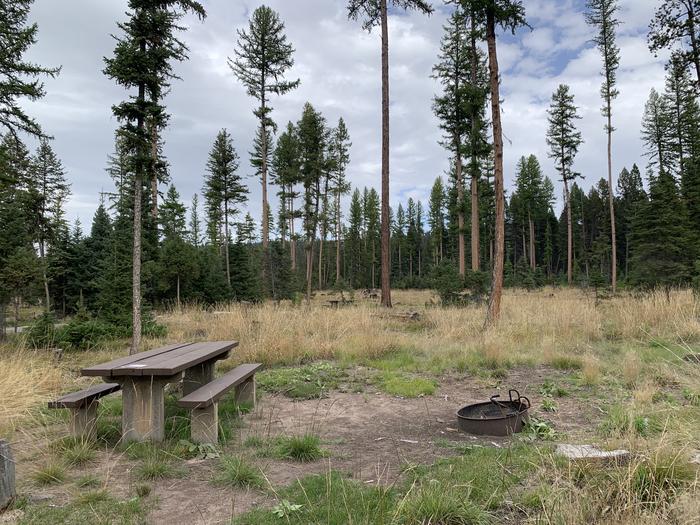 A photo of Site BLS40 in Loop 3 at Big Larch Campground with picnic table, campfire ring. 