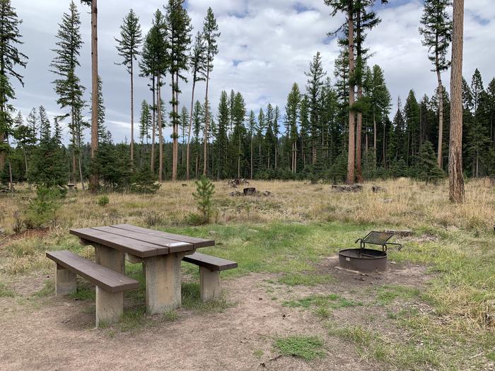 A photo of Site BLS39 in Loop 3 at Big Larch Campground with picnic table, campfire ring. A photo of Site BLS39 in Loop 3 at Big Larch Campground with picnic table, campfire ring.