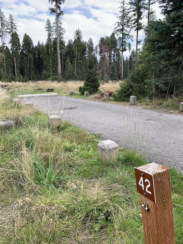 A photo of Site BLS42 in Loop 3 at Big Larch Campground with campsite marker and parking area. 