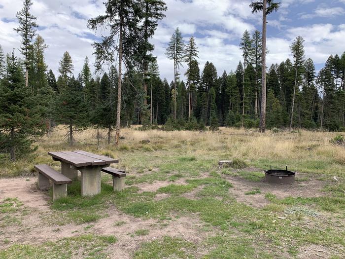 A photo of Site BLS42 in Loop 3 at Big Larch Campground with picnic table, campfire ring. A photo of Site BLS42 in Loop 3 at Big Larch Campground with picnic table, campfire ring.  