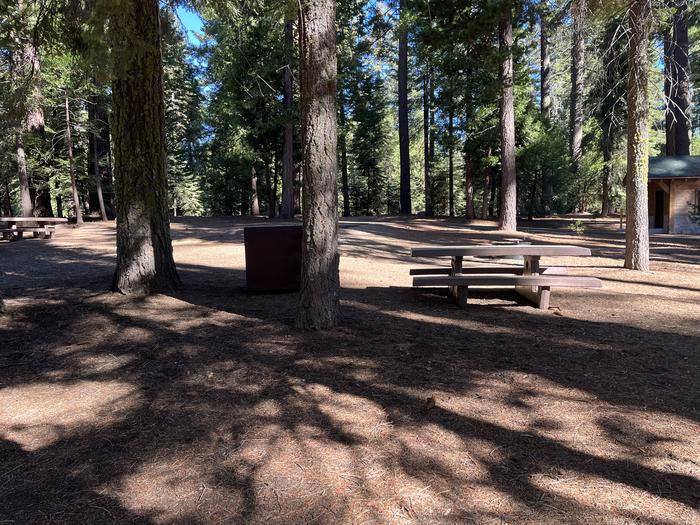 Fire ring, bear box, and picnic table included in site